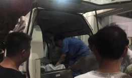 魏水县城吃瓜事件视频最新,一场引发热议的网络狂欢