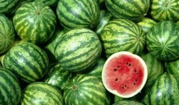 世界上最搞笑的吃瓜视频,全球爆笑！盘点史上最搞笑的吃瓜瞬间