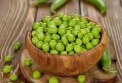 猴子吃瓜豌豆视频,趣味横生的自然互动瞬间