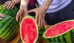 高校吃瓜视频网站有哪些,揭秘校园热点事件聚集地