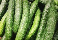 乌条瓜有毒吗可以吃吗视频,揭秘其是否有毒及食用指南