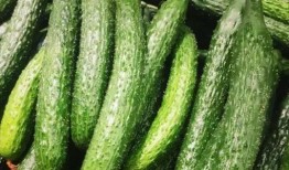 乌条瓜有毒吗可以吃吗视频,揭秘其是否有毒及食用指南