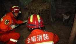 消防员吃吊瓜视频播放,一场甜蜜的消防生活瞬间