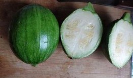 讲吃瓜视频,带你领略网络美食风潮