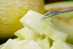 靓仔吃蜜瓜视频下载安装