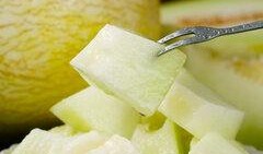 靓仔吃蜜瓜视频下载安装