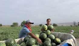 扬州广陵区吃瓜事件视频,扬州广陵区“吃瓜事件”引发社会关注