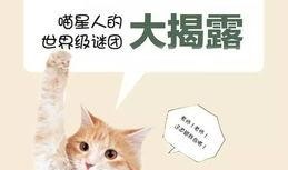 吃瓜猫俊秀最新视频,揭秘幕后故事，带你领略趣味生活