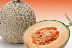 主播吃哈密瓜声控视频下载,主播吃哈密瓜视频下载，甜蜜瞬间尽收眼底