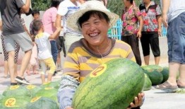 禹城吃瓜视频大全,趣味横生的民间美食盛宴