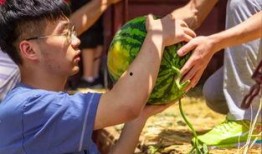 高校吃瓜视频网站有哪些,揭秘校园热点事件聚集地