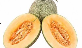 开车去新疆吃哈密瓜视频,畅享哈密瓜甜蜜之旅