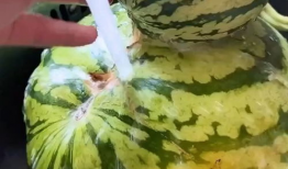 吃瓜搞笑视频大全,让你笑到肚子疼