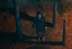 恐怖故事吃瓜群众视频,吃瓜群众目睹恐怖故事现场