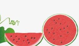 吃瓜素材视频下载网站大全,一网打尽，轻松下载热门视频