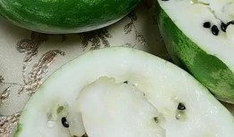 东北人吃瓜不削皮吗视频,吃瓜不削皮，传统饮食习惯揭秘