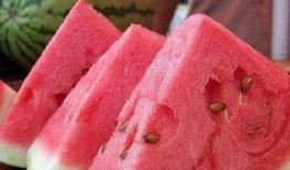 疫情期间法国吃瓜视频