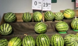 迅速吃瓜拍摄视频教程大全,迅速吃瓜视频教程大全攻略