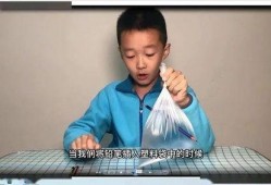 小呆瓜吃南瓜好吗视频讲解,揭秘南瓜的营养与美味