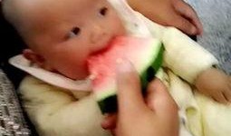 孩子搞笑吃瓜视频