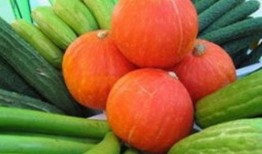 半夜打包瓜菜可以吃吗视频,揭秘夜间美食的奥秘