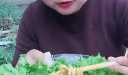 南山大姐吃瓜视频大全,揭秘娱乐圈幕后故事