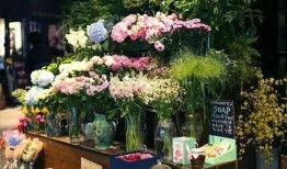 宁波花店吃瓜事件视频播放,一场意外的网络风波揭秘