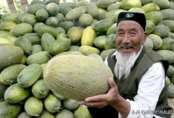 新疆小伙吃哈密瓜视频