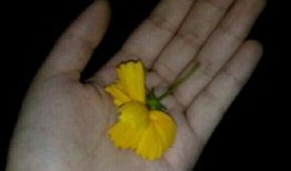 甜美吃瓜群众视频大全,盘点甜美吃瓜群众视频大全