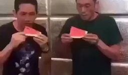 世界上最搞笑的吃瓜视频,全球爆笑！盘点史上最搞笑的吃瓜瞬间