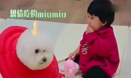 发妞吃瓜小视频,带你领略网络红人的魅力瞬间