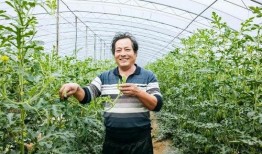 老一辈吃瓜视频,重温经典视频，笑谈岁月变迁