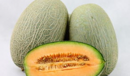 美女请人吃哈密瓜视频,美女邀约共享哈密瓜美味时光