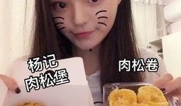 肉松麻瓜吃货视频大全集,吃货视频大全集精彩回顾