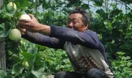 济宁吃瓜视频,一网打尽本地新鲜趣事