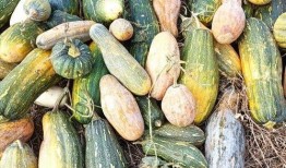 最近15分钟的吃瓜视频,娱乐圈最新热点事件大盘点