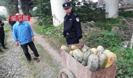 广宗吃瓜事件视频最新版,最新视频揭露惊人真相，网友热议不断