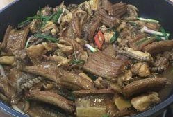 刘大瓜吃甲鱼烧鸡视频,甲鱼烧鸡大比拼