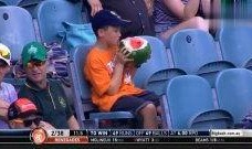 看台吃瓜视频下载,揭秘赛场背后的趣味瞬间