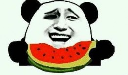 瓜娃子吃霸王餐视频,视频爆笑全场！