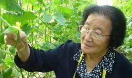 吃瓜人拍照视频姿势下载,视频中的趣味瞬间