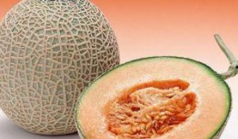 李美玲吃哈密瓜视频,哈密瓜美食之旅