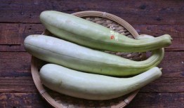 白驳瓜怎么吃最好吃视频,视频教你如何吃出最佳口感