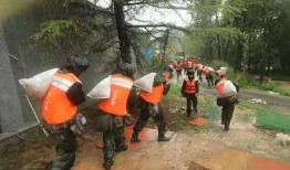 河南校园吃瓜事件视频,揭秘校园内幕引发热议