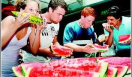 外国人的吃瓜视频,揭秘全球奇闻异事