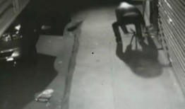 廊坊地区吃瓜事件视频曝光,视频曝光揭示惊人真相