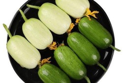 大宝瓜怎么吃最好吃视频,视频揭秘最佳食用方法