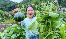 农村最火吃蓝瓜叶视频,农村田间地头的新宠