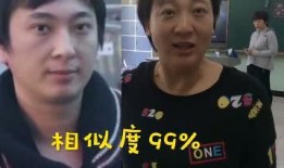 明星吃瓜 王思聪视频大全,娱乐圈幕后风云尽收眼底