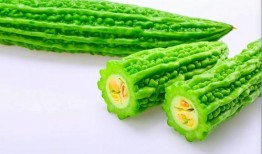 吃青龙瓜对身体好吗视频,吃青龙瓜对身体的好处与注意事项